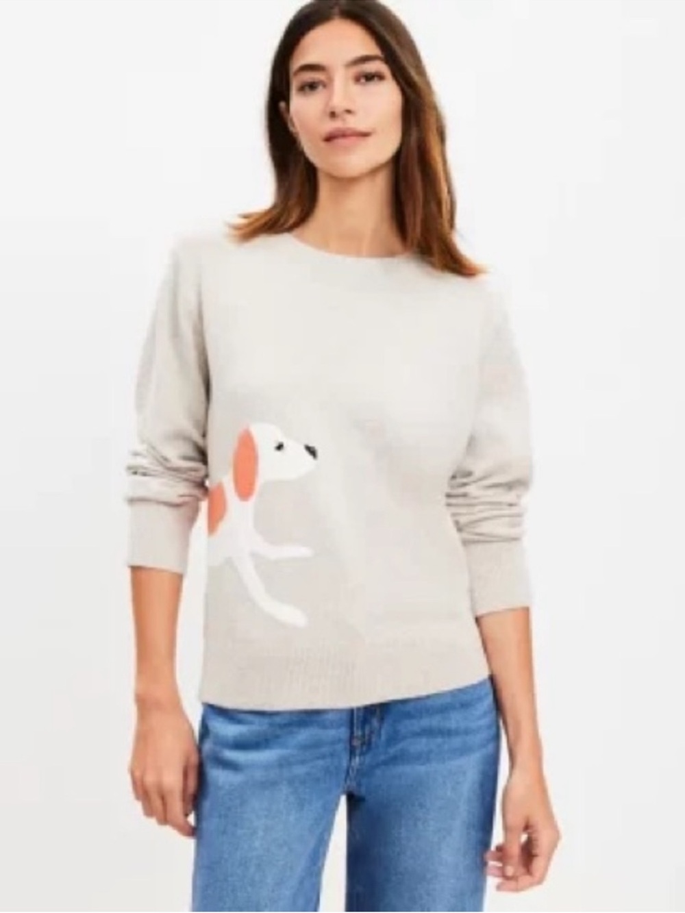 Ann Taylor LOFT Dog Walker Crewneck Sweater Size Medium